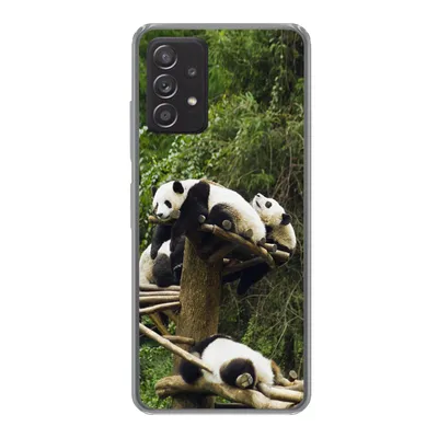 Produktbild von MuchoWow® Handyhülle Schutzhülle Hülle für Samsung galaxy a73 Pandas - Holz - Treppe Silikon Softcase Handy Hülle - Handyhülle