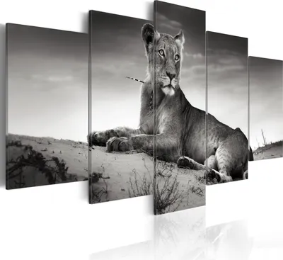 Image de Tableau mural moderne 030216- 4 (100x50) - 5 pièces Photographie sur toile intissé Photo Décoration murale Tableaux Impression artistique Nature