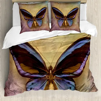Zdjęcie produktu dla ABAKUHAUS Zestaw pościeli z motywem motyla, motyl monarcha, styl vintage, brytyjski grunge, motyw fotograficzny w stylu wiktoriańskim, 200 x 200 cm + 80 x 80 cm, wielokolorowy