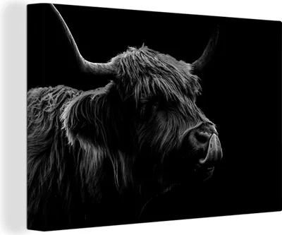 Produktbild von OneMillionCanvasses® - Leinwandbilder - 140x90 cm, Schottisches Hochlandrind leckt sich die Nase auf schwarzem Hintergrund - schwarz-weiß, Wandbilder Kunstdruck Wanddekoration