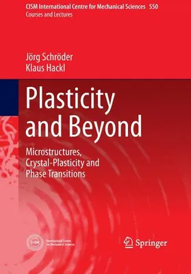 Produktbild von Plasticity and Beyond