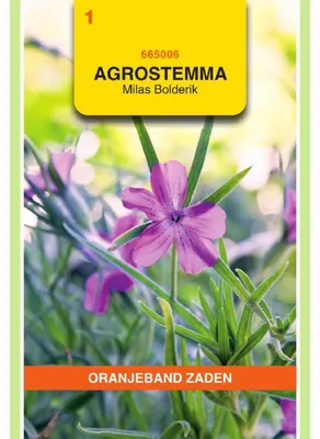 Productafbeelding van Oranjebloem (Agrostemma githago), Milas / Kornrade - 1 zakje zaad