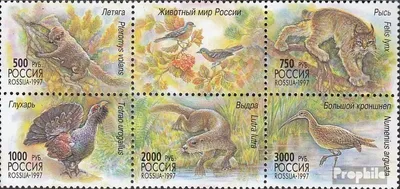 Produktbild von Briefmarken Russland 1997 Mi 597-601 Sechserblock (kompl.Ausg.) postfrisch Einheimische Fauna
