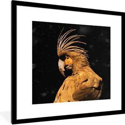 Produktbild von MuchoWow® MuchoWow® Gerahmtes Poster Kakadu - Gold - Schwarz 40x40 cm - Poster mit zchwarzem Bilderrahmen - Poster - Plakat im Rahmen