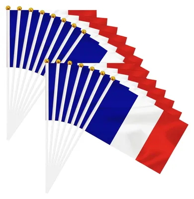 15 Mini-Flaggen Frankreich mit Stab, 14 x 21 cm, wasserdicht