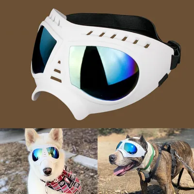 Imagen del producto de Gafas de sol para perros con protección UV y funda impermeable
