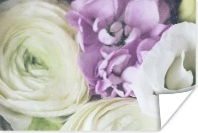 Produktbild von MuchoWow® Poster Blumen - Rosen - Natur 120x80 cm - Bilder