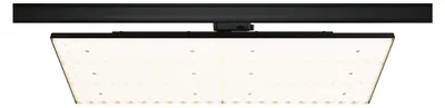 Produktbild von Paulmann ProRail3 LED Panel Deck