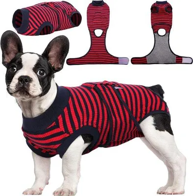 Produktbild von Famanu Hundeoverall atmungsaktiv - rot, Größe M