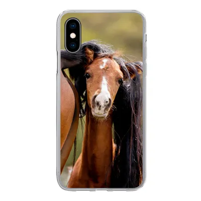 Produktbild von MuchoWow® Handyhülle Schutzhülle Hülle für iPhone X Pferde - Natur - Braun Silikon Softcase Handy Hülle - Handyhülle