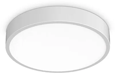 Image de Plafonnier contemporain Ray Metal White Led Integrated 26W 3000K Ip44