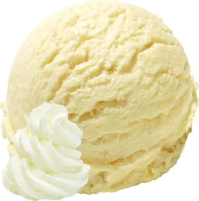 Zdjęcie produktu dla Wegańskie lody śmietankowe w proszku bez cukru i laktozy 1 kg