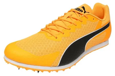 Productafbeelding van Puma evoSPEED Star 9 - oranje, maat: 10