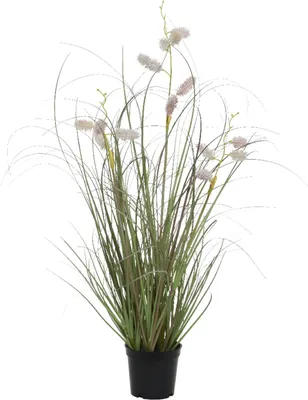 Produktbild von Kunstpflanze Schilfgrasbusch - Grün - H 60 cm- schwarzer Kunststofftopf