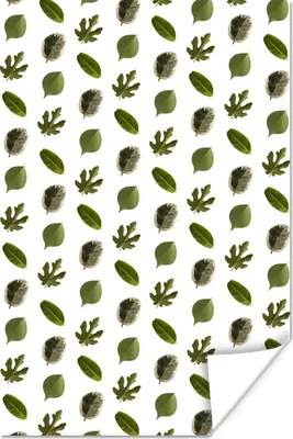 Produktbild von MuchoWow® Poster Blätter - Grün - Muster 20x30 cm - Papierdruck