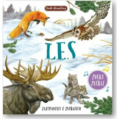 Produktbild von Svojtka & Co. Welt Wildnis Wald