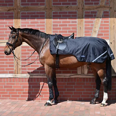 Produktbild von Busse Ausreitdecke Raintrainer 100g