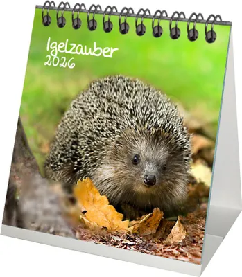 Produktbild von Igelzauber Tischkalender 10cm x 10cm für 2026 Igel - Geschenkset Inhalt: 1x Kalender 1x Weihnachtsanhänger 1x Grußanhänger (gesamt 3 Teile)