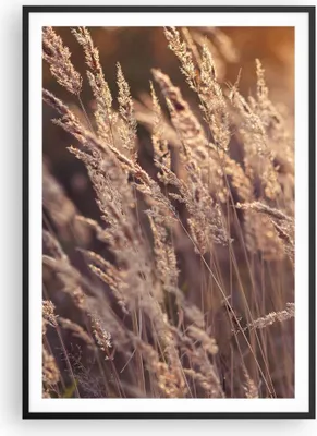 Produktbild von Gerahmtes Poster - Schwarzer Rahmen - Boho Ähren Feld - 70x100 cm - Wand Bild - Wanddeko - Wandbilder - Kunstposter - Wandposter - Bilderrahmen - Bilder - Kunstdruck - P2BPA70x100-4838