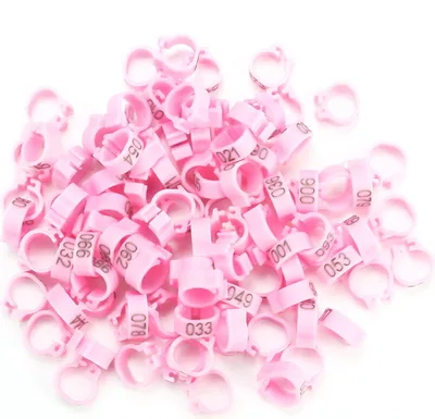 Zdjęcie produktu dla 100 SZTUK/worek 8MM 001-100 Numerowane plastikowe opaski na nogi w kształcie gołębi (różowe)
