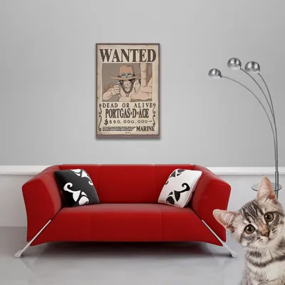 Image de One Piece - Poster - Wanted Ace + 1 Ü-Poster 61x91,5cm