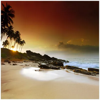 Produktbild von Wallario Möbeldesign / Aufkleber, geeignet für Ikea Lack Tisch - Sri Lanka - Palmenstrand mit Sonnenuntergang in 55 x 55 cm