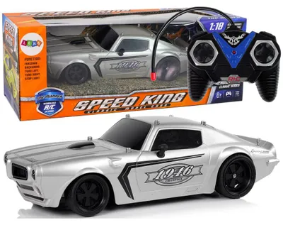 Obrázok produktu pre R/c 1:18 Silver Champion Pilot Sports Car