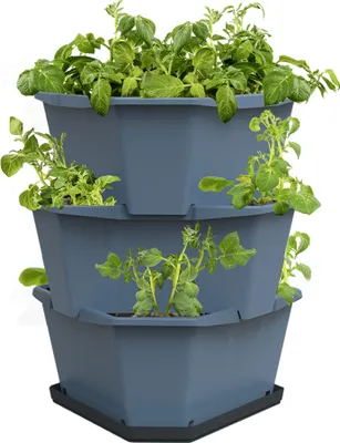 Artikelbild 1 von 'PAUL POTATO Kartoffelturm Starter Set blau (3 Etagen)'