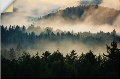 Produktbild von ARTland Wandbild, selbstklebend Wald im Nebel Größe: 60x40 cm