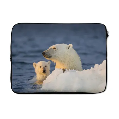 Produktbild von MuchoWow® Laptop Hülle 13 Zoll Eisbär mit Jungtier Laptoptasche - Laptophülle - Sleeve - Rundumschutz