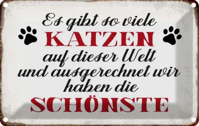 Produktbild von vianmo Blechschild 12x18 cm wir haben die schönste Katze Tier Haustier