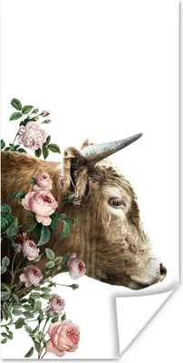 Produktbild von MuchoWow® Poster Schottischer Highlander - Kuh - Blumen 20x40 cm - Plakat - Foto