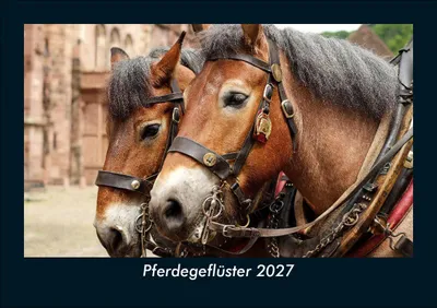 Produktbild von Pferdegeflüster 2027 Fotokalender DIN A5