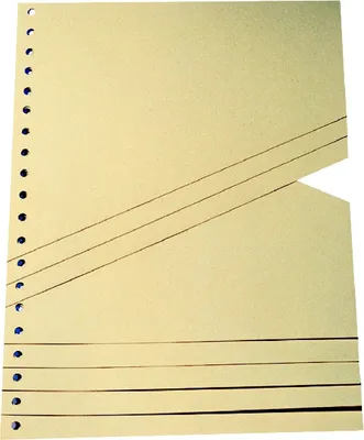 Produktbild von Staffeltrennblätter BxH 230x300mm chamois VE=10x100 Stück