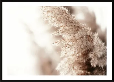 Produktbild von BILDPOSTER IM RAHMEN 33x43 cm Boho P2249
