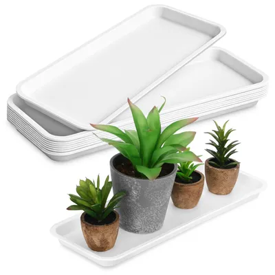Produktbild von Pflanzenschale 40 x 14 cm, 10 Stück, Kunststoff, weiß, für Garten