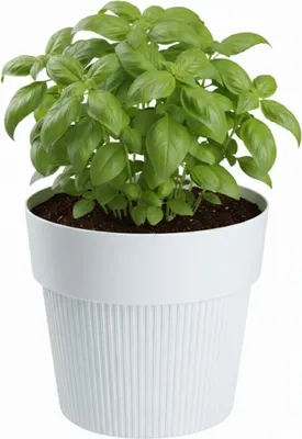 Produktbild von HowHomely | Pflanzgefäß - Blumentopf - weiß - 17x20 cm - Rillenstruktur - aus Recyclingmaterial - Pflanzkübel