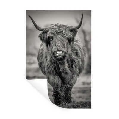 Produktbild von MuchoWow® Wandtattoo Wandsticker Wandaufkleber Schottischer Highlander - Schwarz und Weiß 60x90 cm Selbstklebend und Repositionierbar - Sticker - Dekorfolie