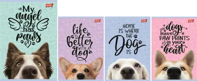 Immagine prodotto di Taccuino A5 16k griglia Dog Psy Unipap