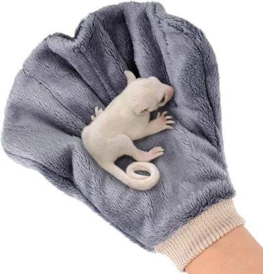 Obrázok produktu pre Upokojujúce, odolné proti uhryznutiu, sivé plastové rukavice na prácu so zvieratami.