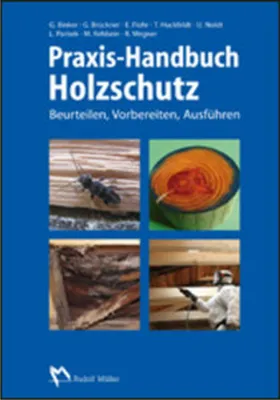 Image de Praxis-Handbuch Holzschutz
