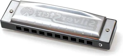 Obrázok produktu pre Strieborná harmonika s 10 otvormi, HOM5040167, pre hudbu