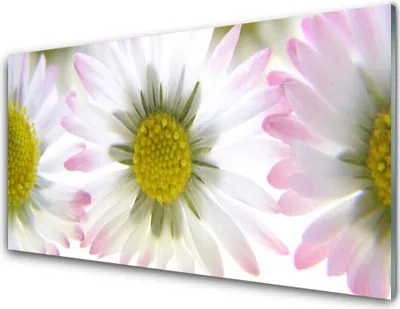 Produktbild von Acrylglasbilder 100x50 Wandbild Druck Gänseblümchen Pflanzen