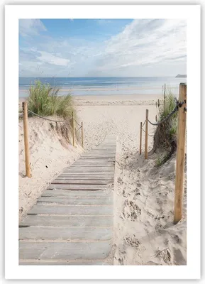 Produktbild von Poster - Poster ohne Rahmen - Strand Düne Eintritt - 50x70 cm - Wand Bild - Wanddeko - Wandbilder - Kunstposter - Wandposter - Bilder - Kunstdruck - Wanddekoration - Wandbild - P2XPA50x70-4188