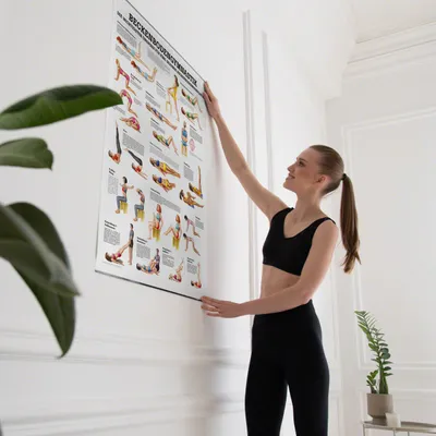 Produktbild von Beckenbodengymnastik Lehrtafel Anatomie 100x70 cm medizinische Lehrmittel
