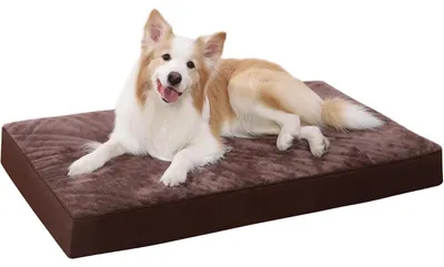 Imagen del producto de Cama ortopédica para perros, tamaño XL, 105x70x8 cm. Cojín, tamaño L, 105 x 70 x 8 cm
