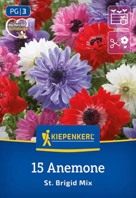 Produktbild von Kiepenkerl Kronenanemone St. Brigid Anemone coronaria 15 Pflanzen