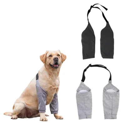 Immagine prodotto di Solidchoice - Tutore per il ginocchio per cani, set di 2 taglia XXL con protezioni per gomiti in rete