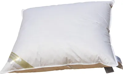 Produktbild von Hofmann Franken kuschelweiches Daunenkissen Kopfkissen 80x80 cm 550g 100% Daunen