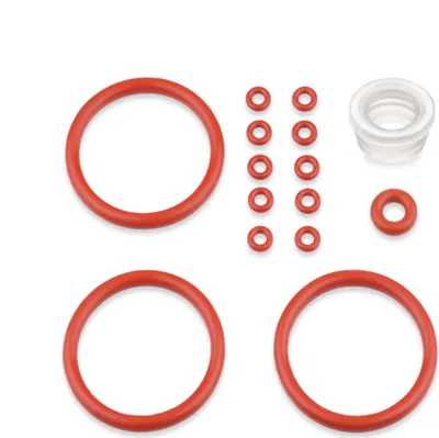 A collection of red and clear rubber O-rings and a clear plastic component, arranged on a white background.
